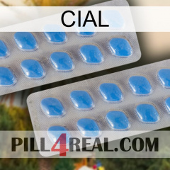 Cial 23